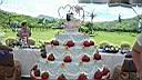 Tuscany Outdoor Wedding / ���B���J-�����d���v���U����~�B§17.JPG